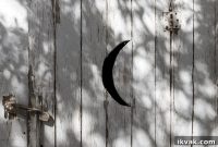 DIY Rustic Backyard Outhouse: Step-by-Step Guide for a Traditional Outdoor Toilet