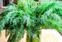 How to Store Fresh Dill: 3 Simple Ways to Preserve Flavor