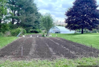 How to Plant Potatoes in Your Garden for a Bountiful Harvest
