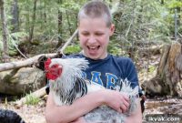 Our Family’s Journey with Autism: Stories, Tips, and Support