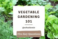 Beginner’s Guide to Growing a Thriving Vegetable Garden