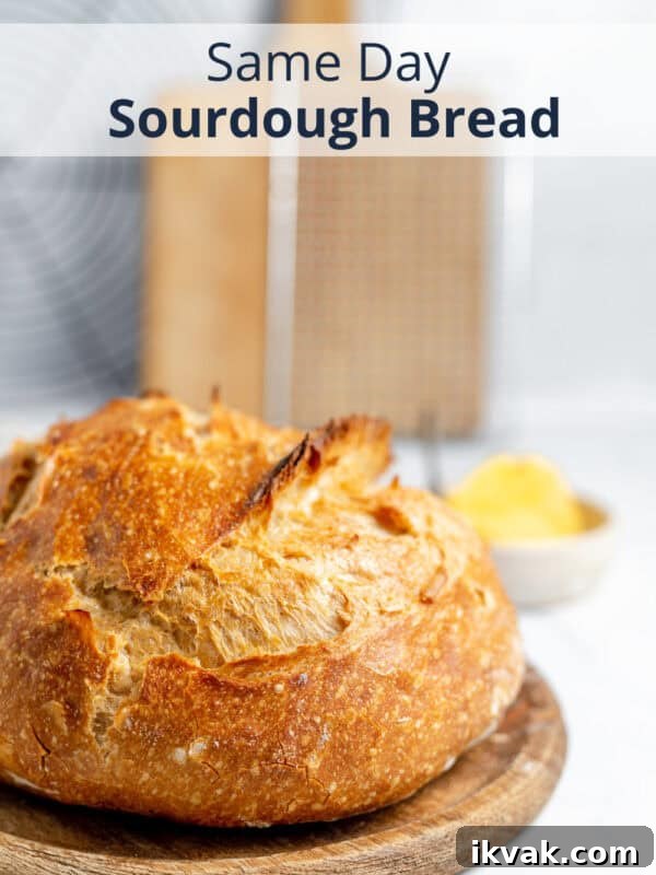 Sourdough bread recipe made in one day