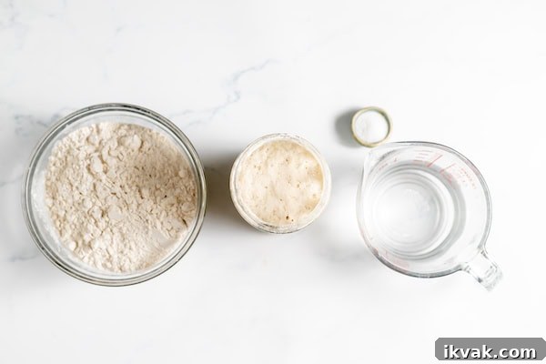 ingredients for making sourdough bread in one day