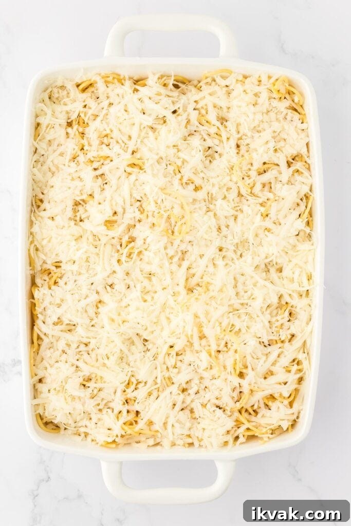 Vegetarian Baked Spaghetti with Mozzarella and Roasted Veggies 13 cheese on top of spaghetti
