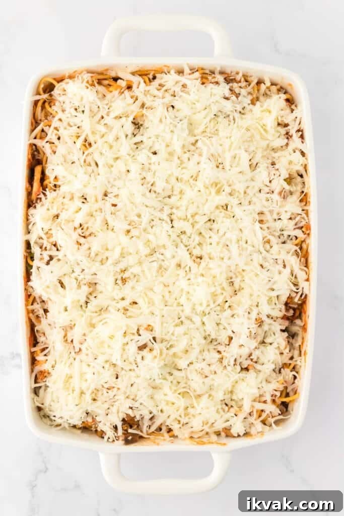 Vegetarian Baked Spaghetti with Mozzarella and Roasted Veggies 17 spaghetti topped with cheese