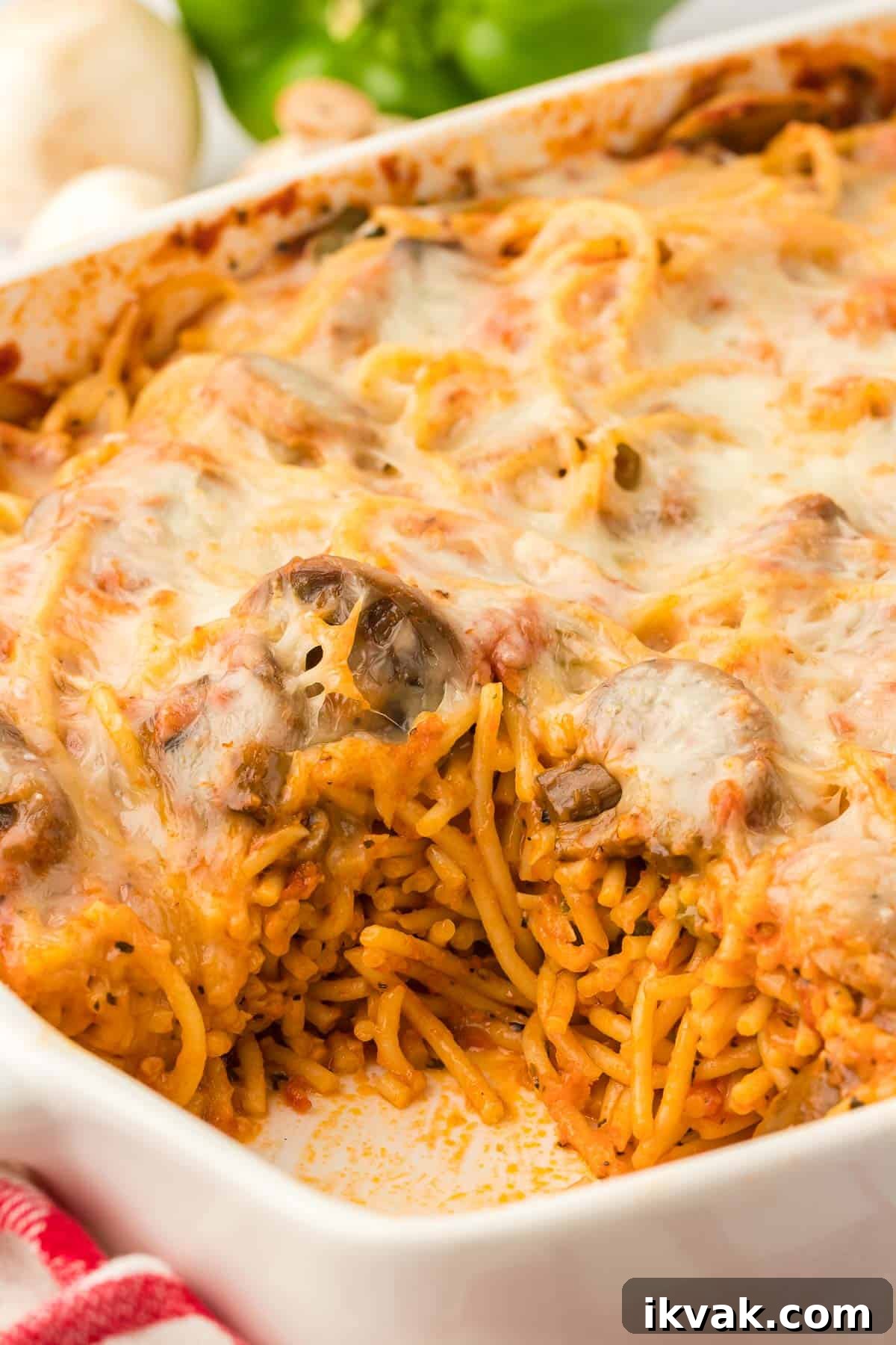 Vegetarian Baked Spaghetti with Mozzarella and Roasted Veggies 19 veggie spaghetti
