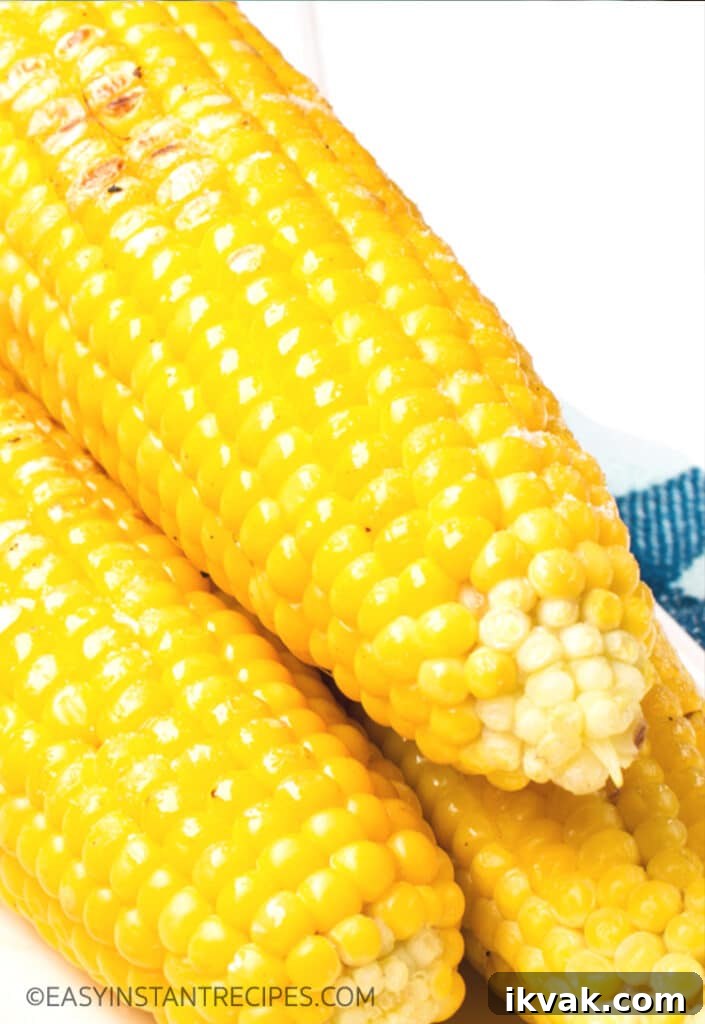 img 1052 2
