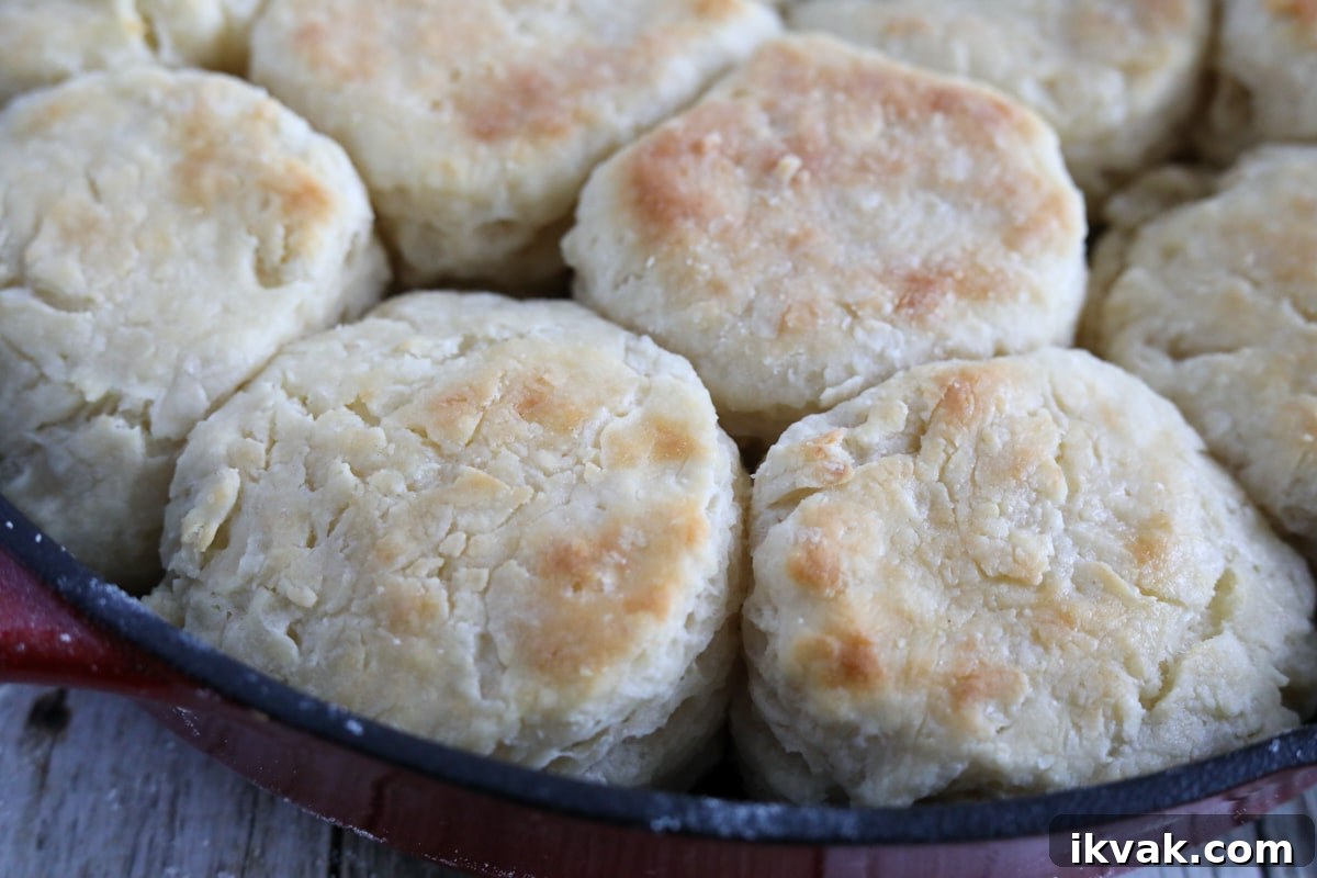 finished biscuits in a cast iron skillet