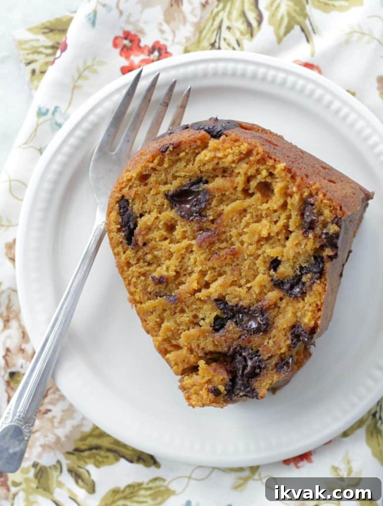 Pumpkin Chocolate Chip Pudding Cake