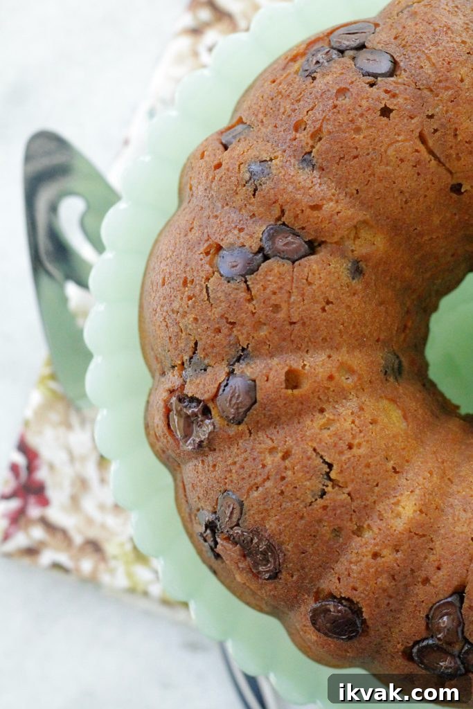 Pumpkin Chocolate Chip Pudding Cake