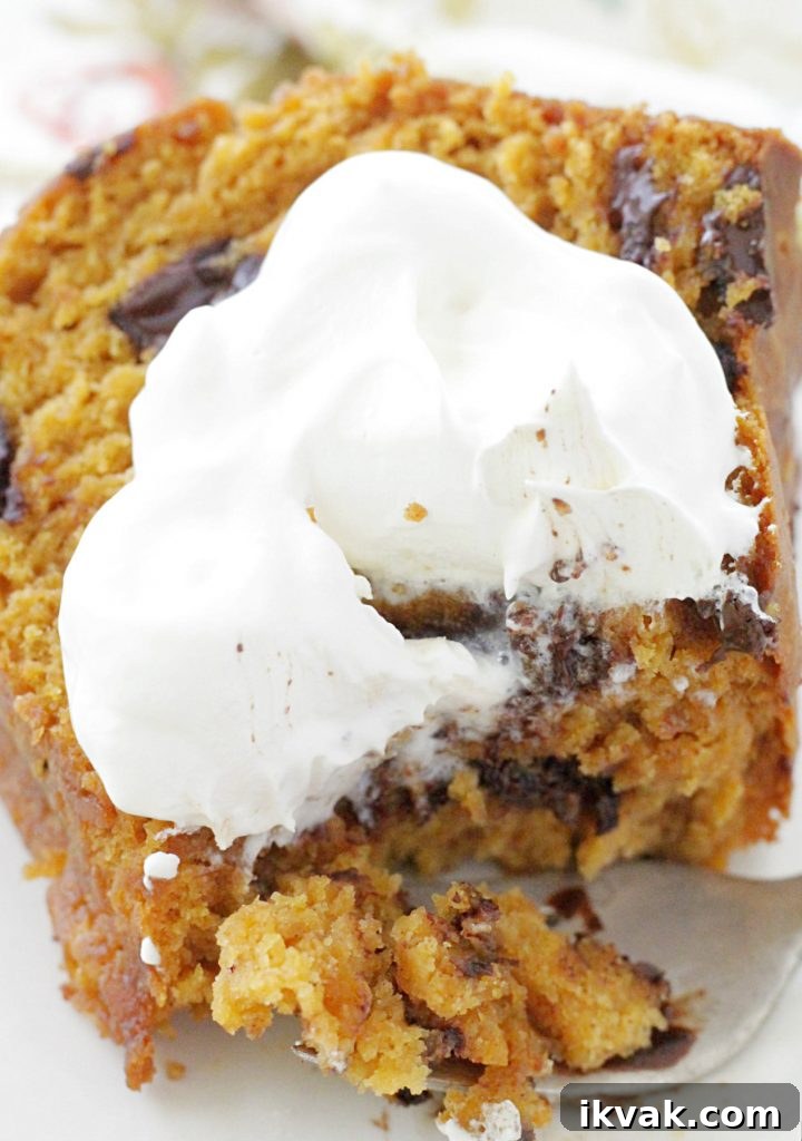 Pumpkin Chocolate Chip Pudding Cake