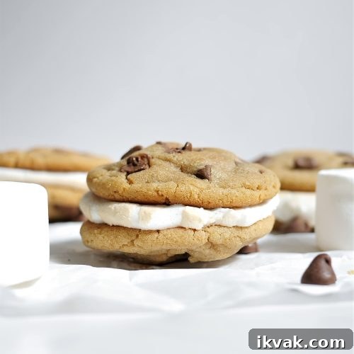 S'mores cookie sandwiches