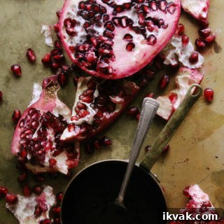 Chocolate Panna Cotta with a Port Wine Pomegranate Sauce