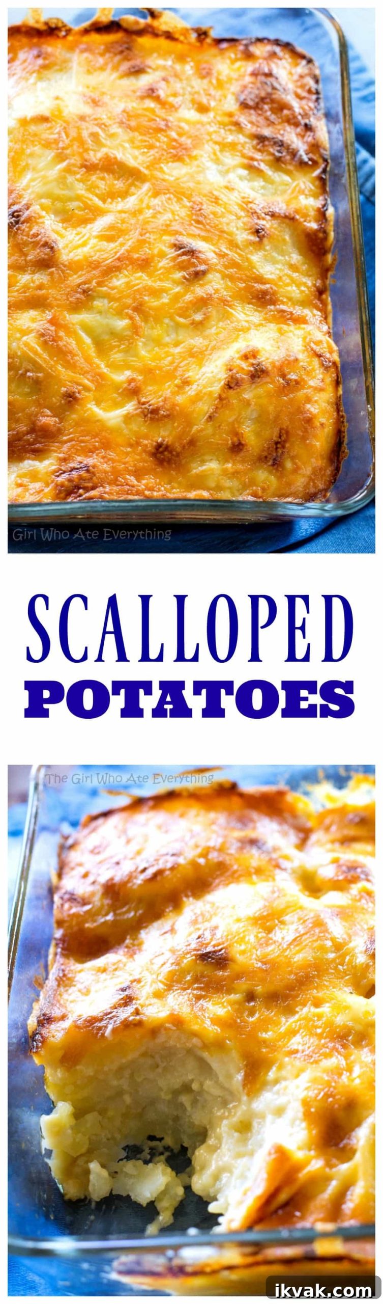 Scalloped Potatoes - a classic dish with potatoes, cheesy sauce, and baked until perfection!