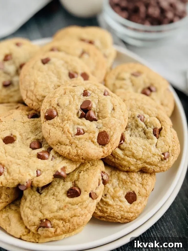 A large white plate with layers of small, round chocolate chip cookies on it.