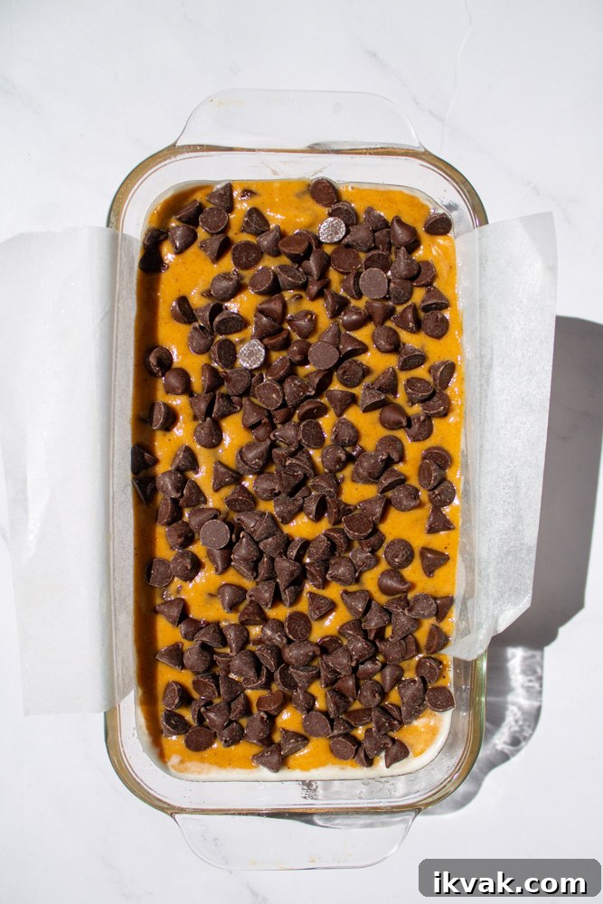 chocolate chip pumpkin bread