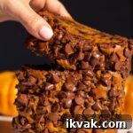 chocolate chip pumpkin bread