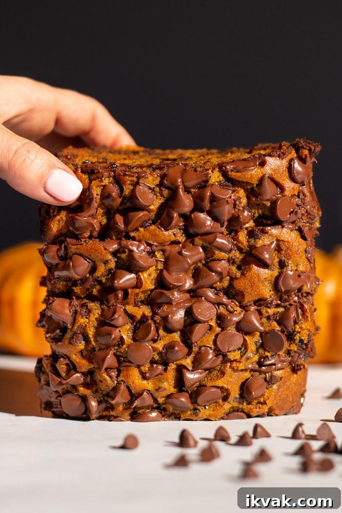 chocolate chip pumpkin bread