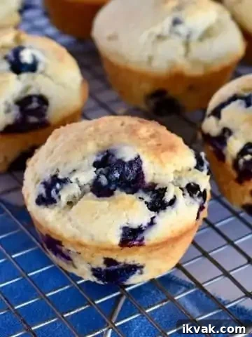 Blueberry Ricotta Muffins on a wire cooling rack.