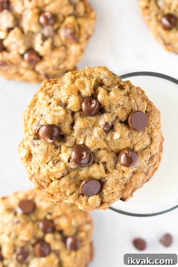 Oat Baking Recipes: Delicious Ways to Bake with Oats 4 A chewy oatmeal chocolate chip cookie made with old-fashioned oats.