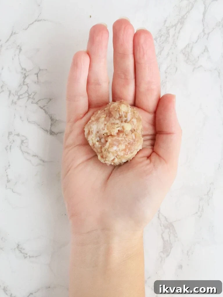 hand holding one chicken meatball to show the size