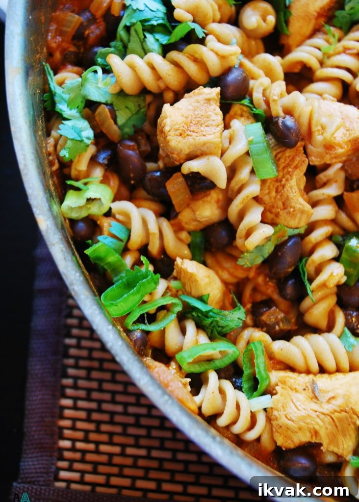 Gluten-Free Chicken Enchilada Pasta (Top 8 Allergy-Friendly) 3 Chicken Enchilada Pasta (Gluten, dairy, egg, soy, peanut and tree nut free; top 8 free) Dinner recipe by AllergyAwesomeness.com