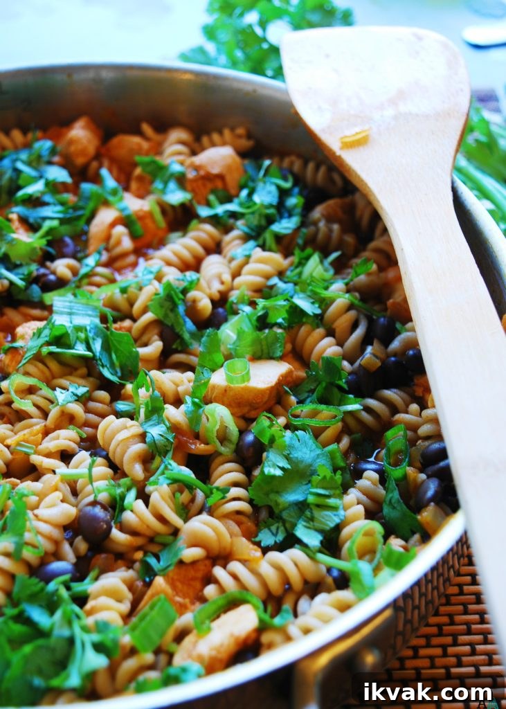 Gluten-Free Chicken Enchilada Pasta (Top 8 Allergy-Friendly) 4 Chicken Enchilada Pasta (Gluten, dairy, egg, soy, peanut and tree nut free; top 8 free) Dinner recipe by AllergyAwesomeness.com