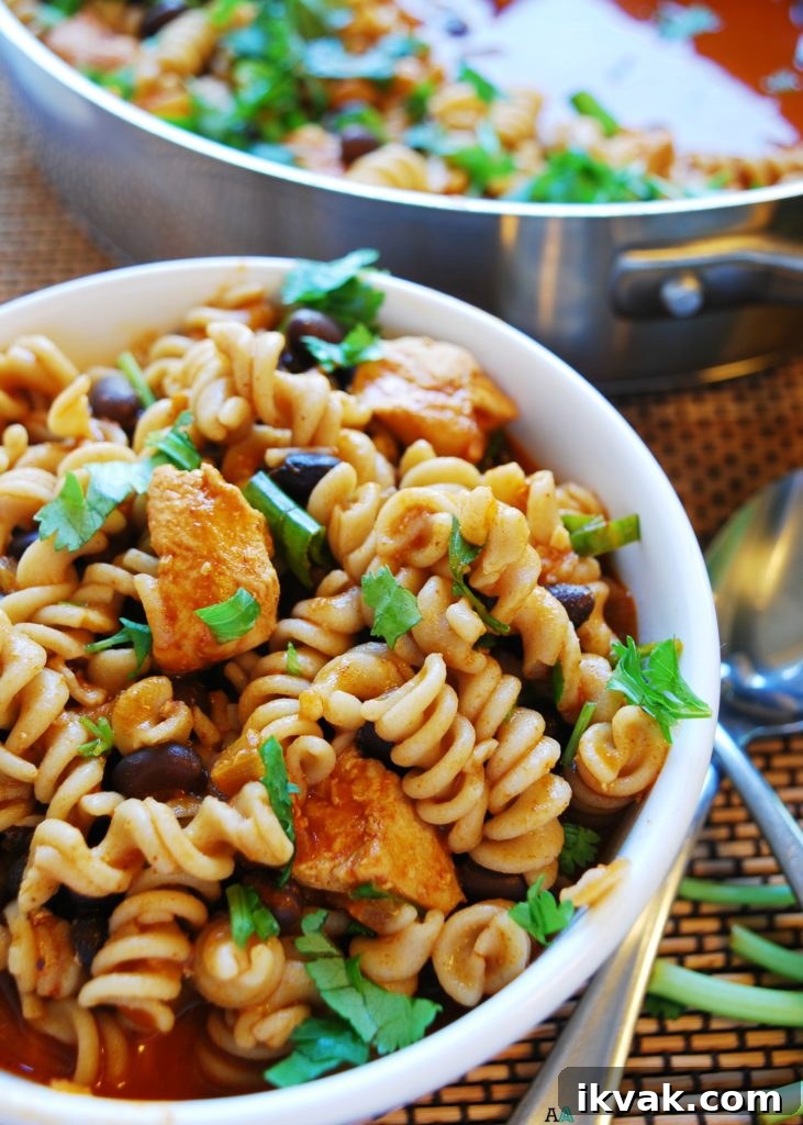 Gluten-Free Chicken Enchilada Pasta (Top 8 Allergy-Friendly) 7 Chicken Enchilada Pasta (Gluten, dairy, egg, soy, peanut and tree nut free; top 8 free) Dinner recipe by AllergyAwesomeness.com