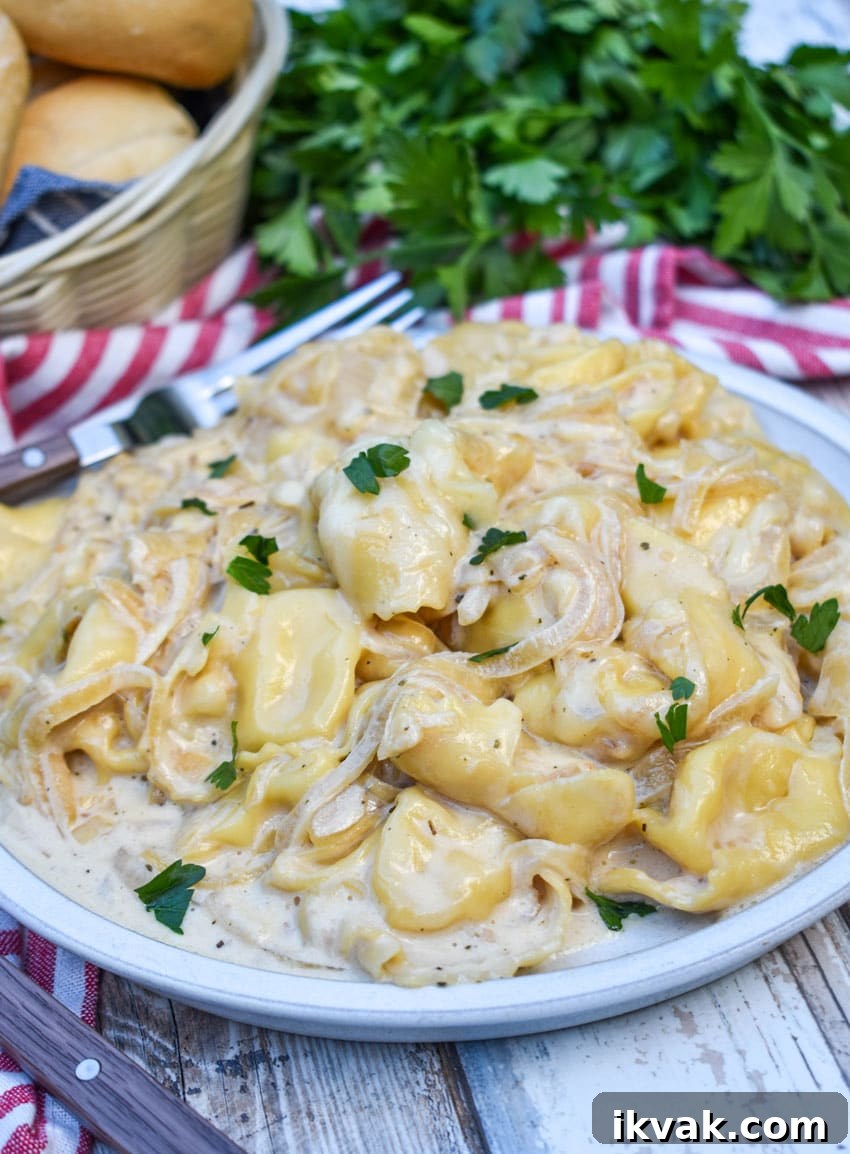 creamy french onion tortellini on a white plate