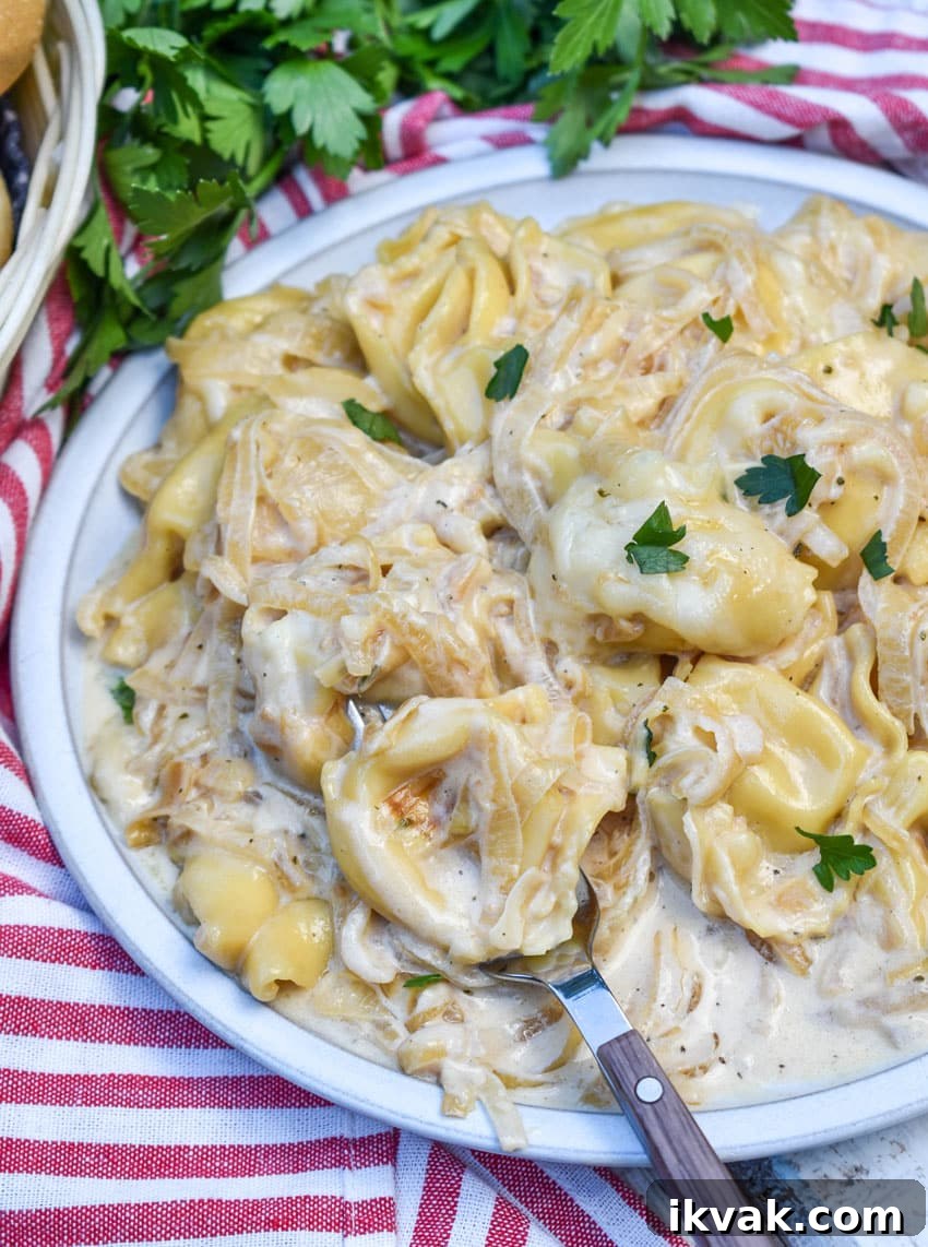 creamy french onion tortellini on a white plate