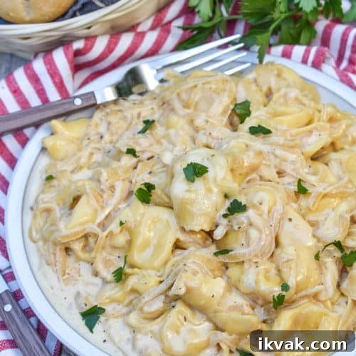 creamy french onion tortellini on a white plate