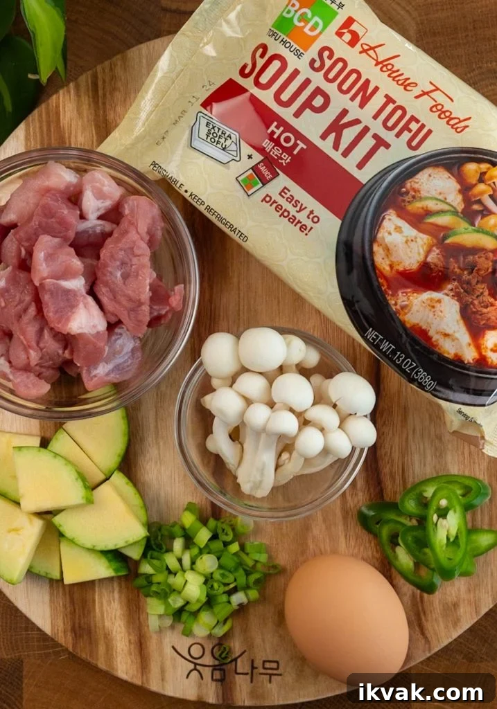 Soondubu Jjigae: Spicy BCD Soft Tofu Stew Kit for Home Cooking 2 img 14216 1