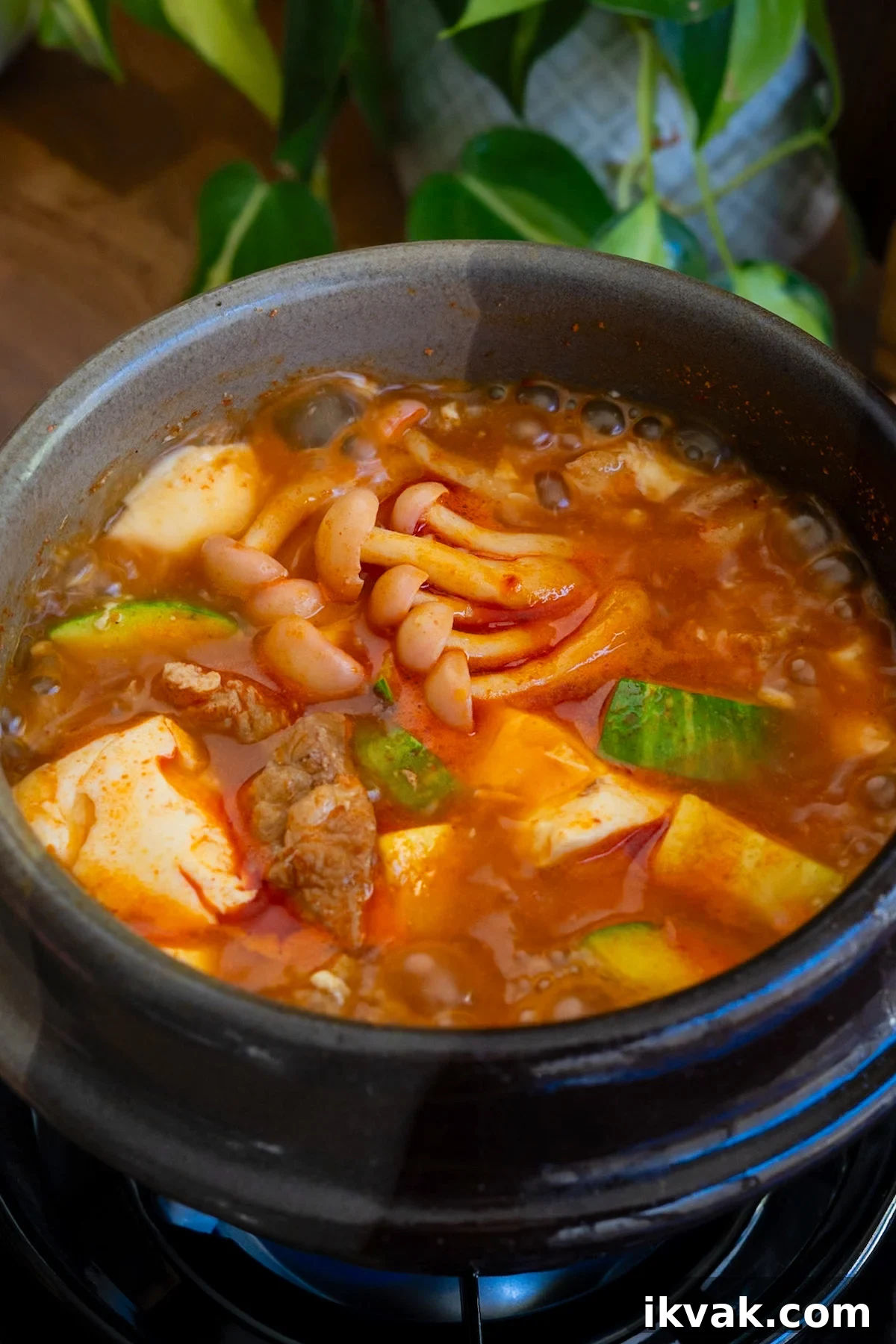 Soondubu Jjigae: Spicy BCD Soft Tofu Stew Kit for Home Cooking 5 img 14216 4