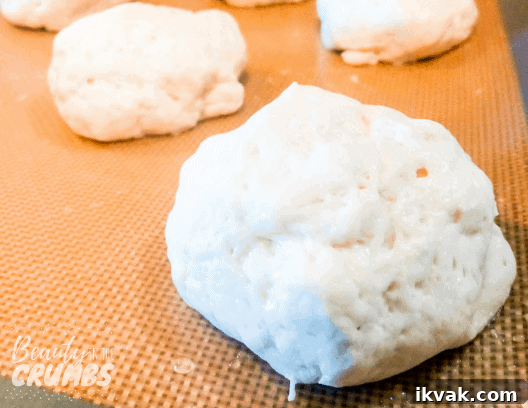 Perfect Gluten-Free Dinner Rolls Recipe You’ll Love 6 Check out this easy recipe for gluten free, dairy free, and vegan dinner rolls! They're seriously the best and no one will know the difference!