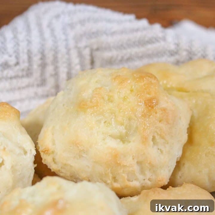Best ever fluffy gluten free rolls (dairy free and vegan, too)