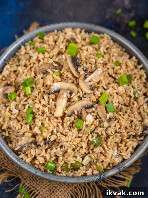 Shrimp Mei Fun (Rice Noodles) Recipe: Authentic Cantonese Stir-Fry 10 Mushroom Fried Rice