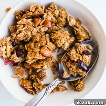 granola in a white bowl