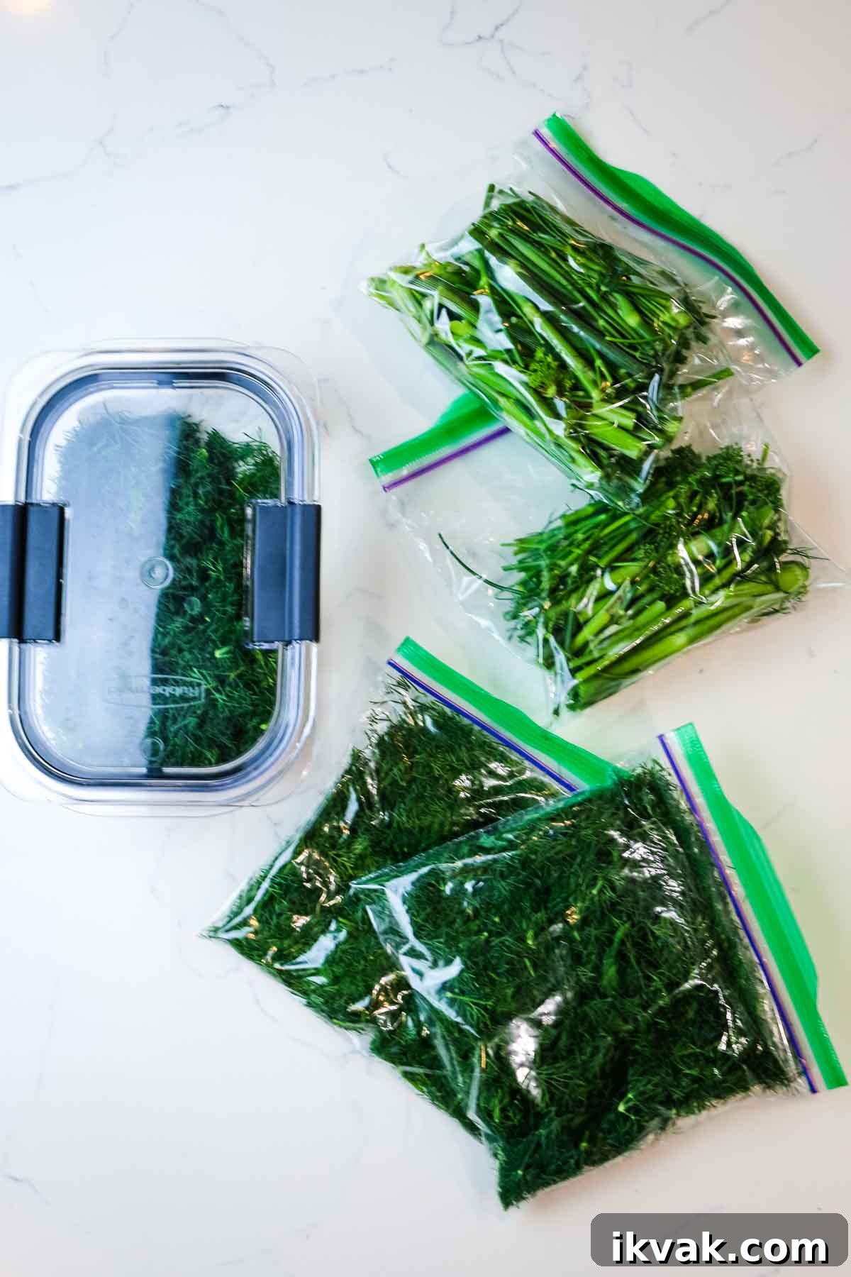 How to Store Fresh Dill: 3 Simple Ways to Preserve Flavor 2 various ways of storing dill - container, plastic bag and rolled in paper towels for a post on how to store fresh dill.