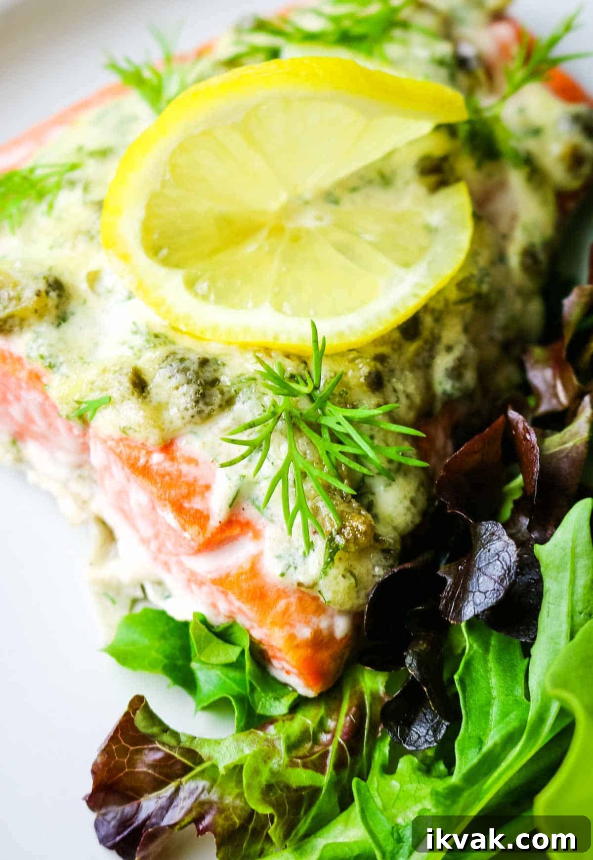 How to Store Fresh Dill: 3 Simple Ways to Preserve Flavor 13 salmon with green salad and lemon slice.