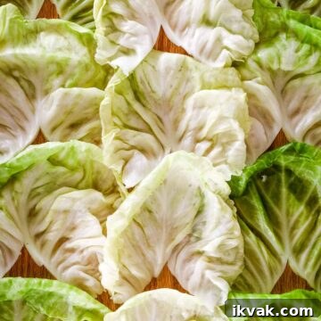 Board of flat cooked cabbage leaves