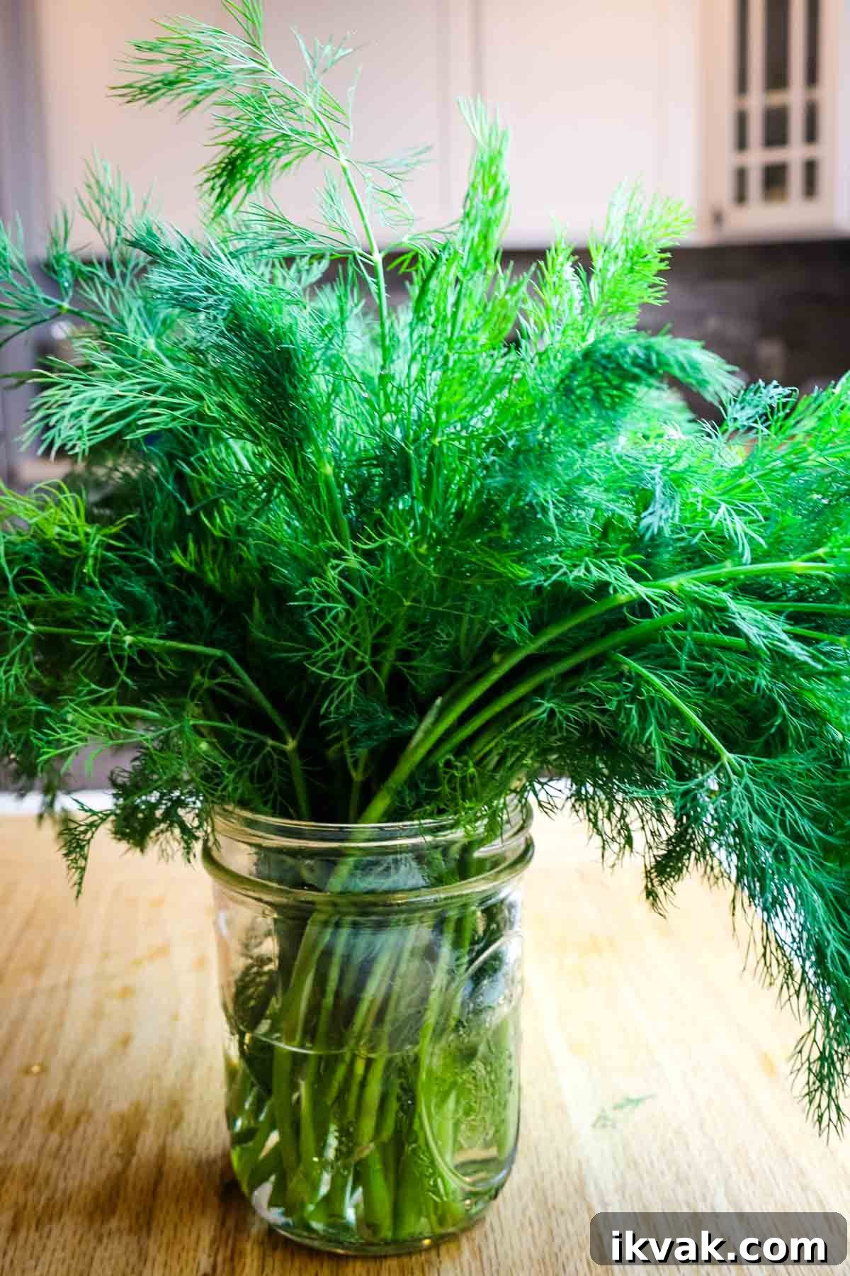 How to Store Fresh Dill: 3 Simple Ways to Preserve Flavor 4 fresh dill in jar for how to store fresh dill to preserve methods