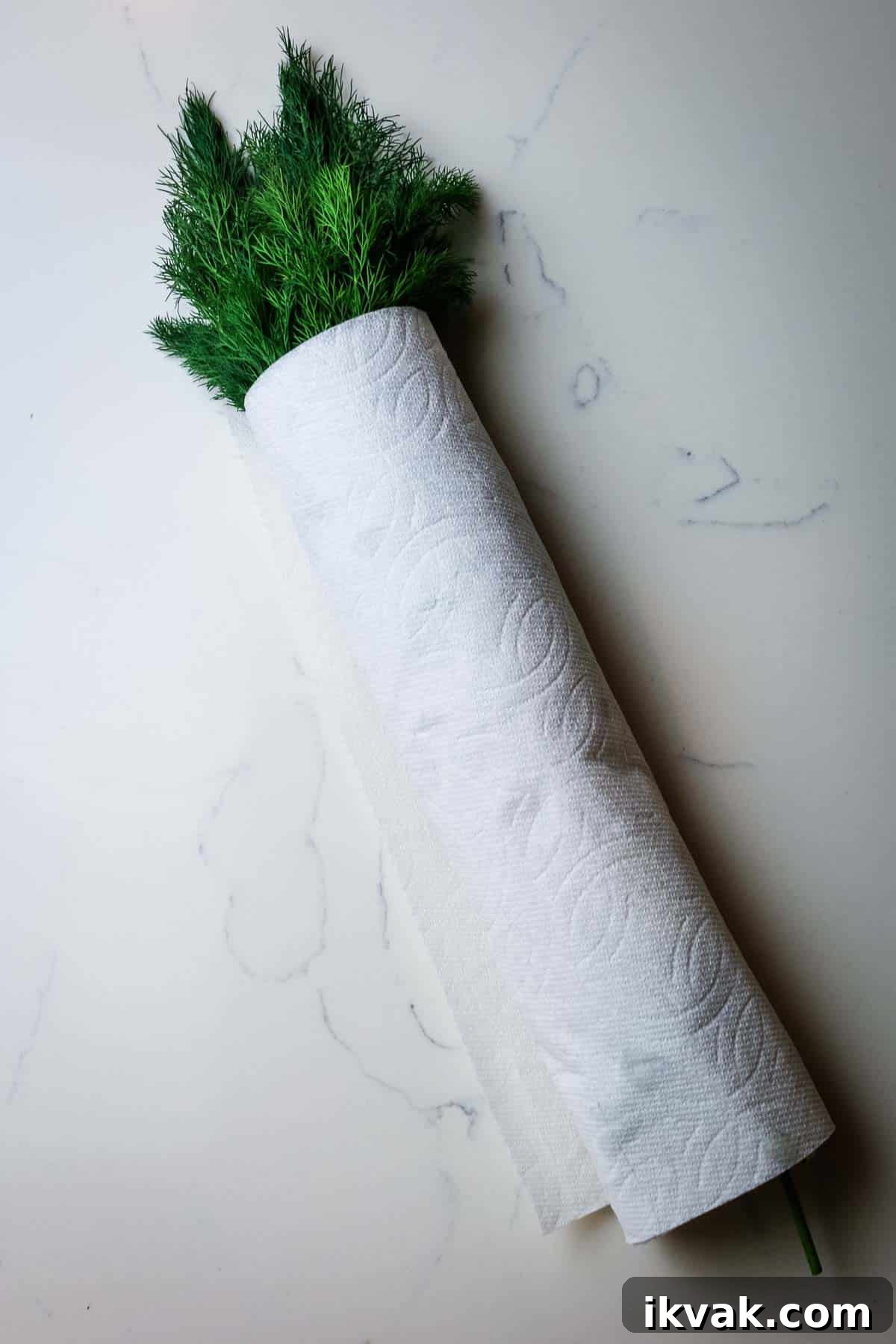 How to Store Fresh Dill: 3 Simple Ways to Preserve Flavor 6 fresh dill wrapped in paper towel for how to store dill.