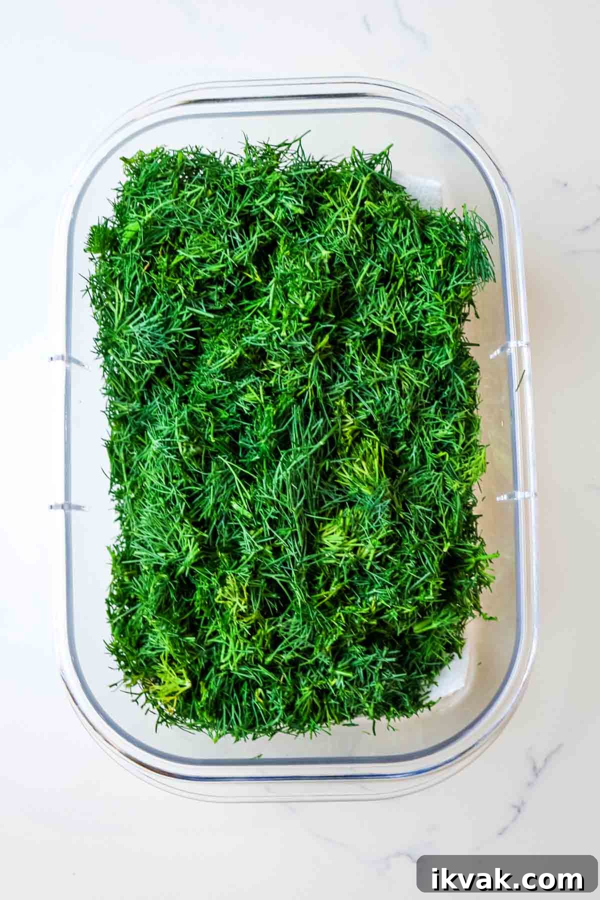 How to Store Fresh Dill: 3 Simple Ways to Preserve Flavor 7 finely chopped fresh dill in a plastic container in a post on how to chop fresh dill.