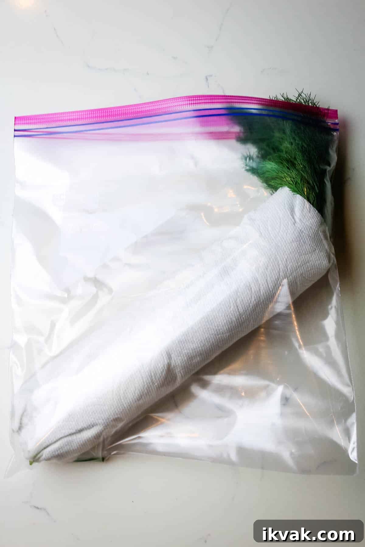 How to Store Fresh Dill: 3 Simple Ways to Preserve Flavor 8 how to store dill in paper towel and freezer bag.