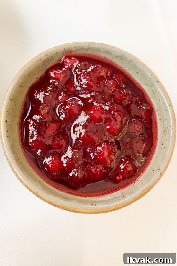 What to eat in Vienna : lingonberry jam in a bowl (Vienna Food Guide)