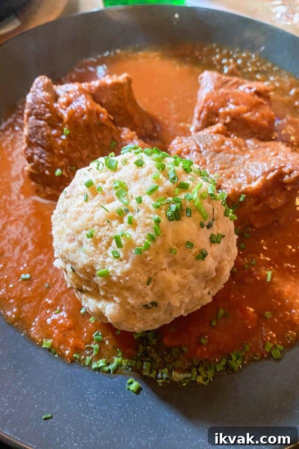 beef goulash served with a bread dumpling at Café Savoy in Vienna Austria