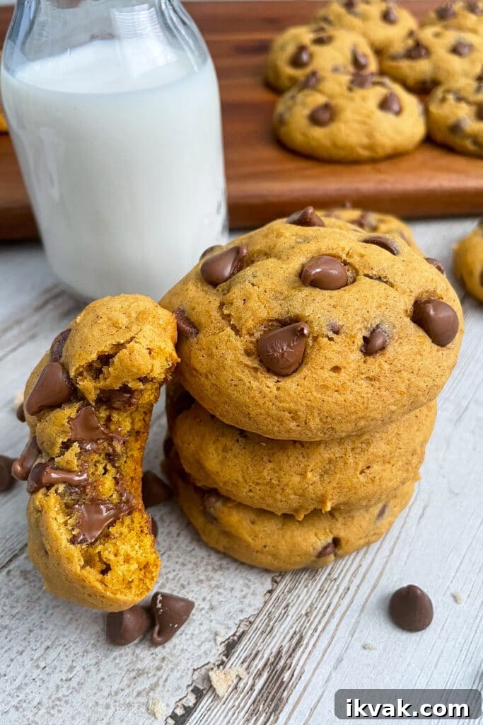 pumpkin chocolate chip cookies served with a glass of milk on the side