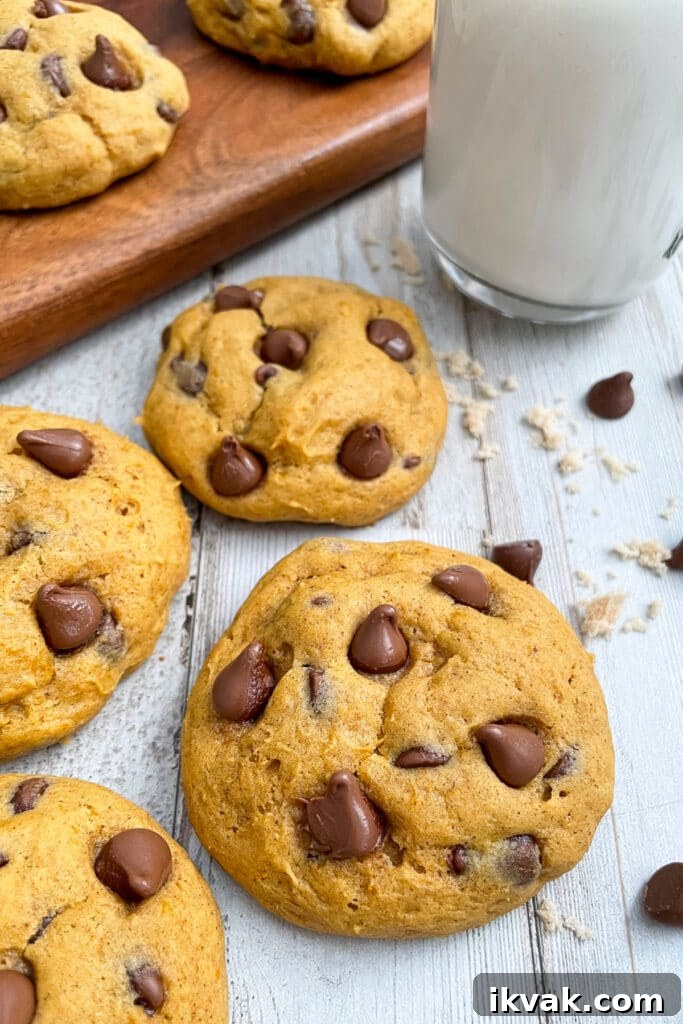 The best pumpkin chocolate chip cookies