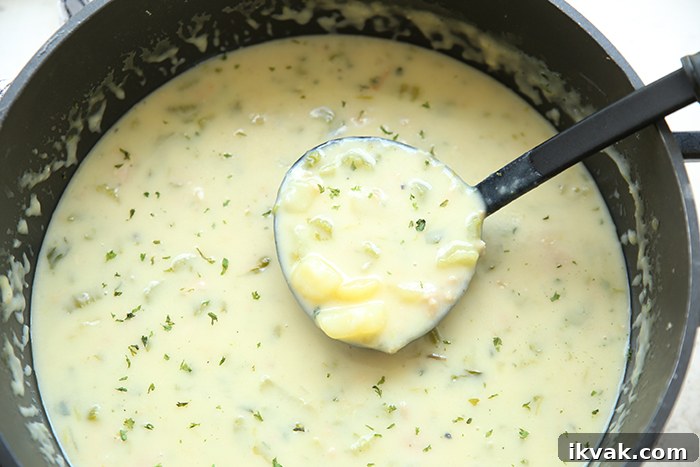 A large pot of clam chowder with a black ladle of chowder held above from the left side.