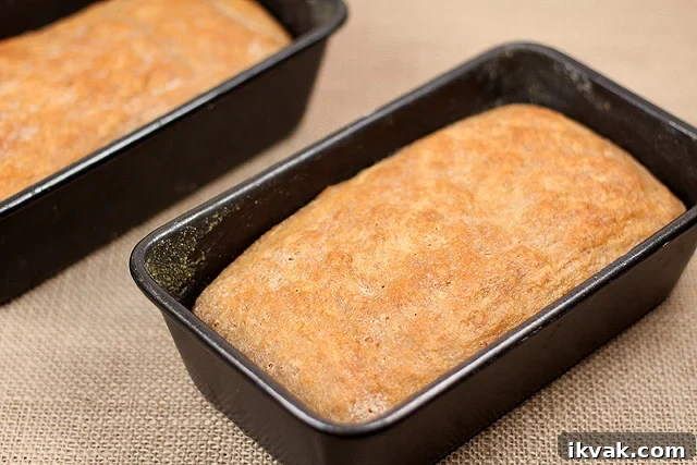 Whole Wheat & Honey English Muffin Bread Whole Wheat & Honey English Muffin Bread